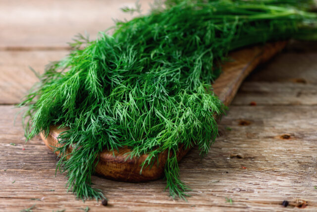 Toraf Nasiona warzyw | Koper Ogrodowy Krezus | Opakowanie 5g - imagine 4