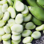 PNOS Nasiona warzyw | Bóg Dragon | Opakowanie 50g - imagine 5