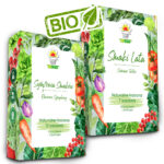 TORAF ZESTAW NASION - SET 1+6 2024 TORAF 19X1SZT