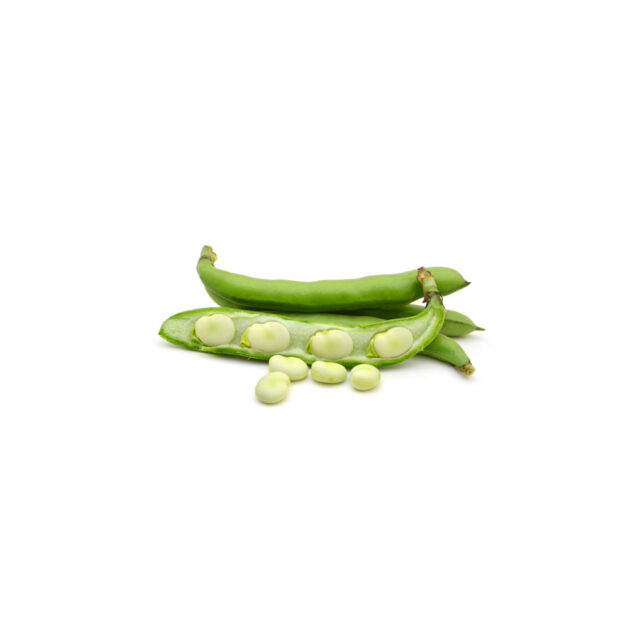 PNOS Nasiona warzyw | Bóg Dragon | Opakowanie 50g - imagine 4