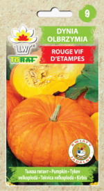 Toraf Nasiona warzyw | Dynia Olbrzymia Rouge Cif D'Etampes | Opakowanie 5g - imagine 2