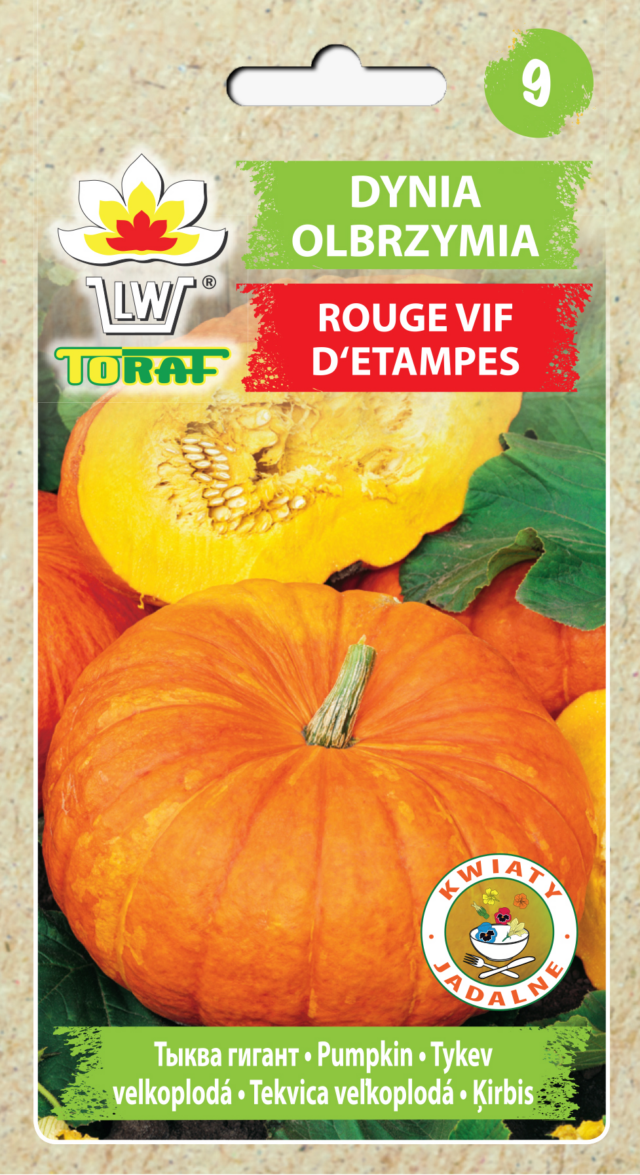 Toraf Nasiona warzyw | Dynia Olbrzymia Rouge Cif D'Etampes | Opakowanie 5g - imagine 2