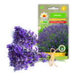 Toraf Nasiona ziół | Lawenda | Opakowanie 0,2g