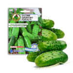 PNOS Nasiona na taśmie | Ogórek Gruntowy Portal | Taśma 6m