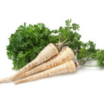 PNOS Nasiona na taśmie | Pietruszka Korzeniowa Alba | Taśma 6m - imagine 8