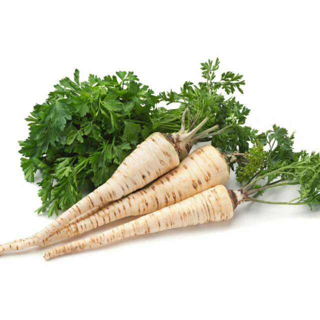 PNOS Nasiona na taśmie | Pietruszka Korzeniowa Alba | Taśma 6m - imagine 8