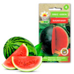 Toraf Nasiona warzyw | Arbuz Sugar Baby | Opakowanie 1g