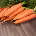 PNOS Nasiona na taśmie | Marchew Jadalna Lenka | Taśma 6m - imagine 7