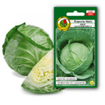 PNOS Nasiona warzyw | Kapusta Głowiasta Biała Roem Van Enkhuizen 2 | Opakowanie 2g