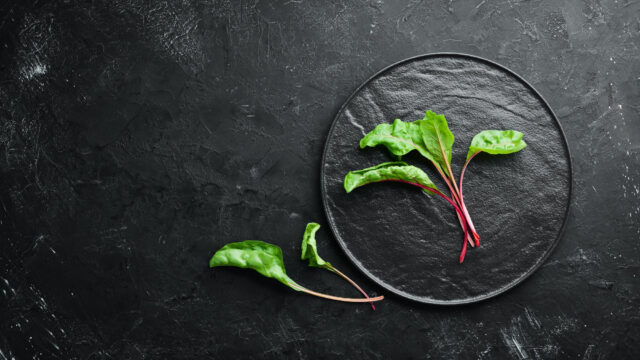 PNOS Nasiona na kiełki | Burak Ćwikłowy Beta Vulgaris | Opakowanie 10g - imagine 4