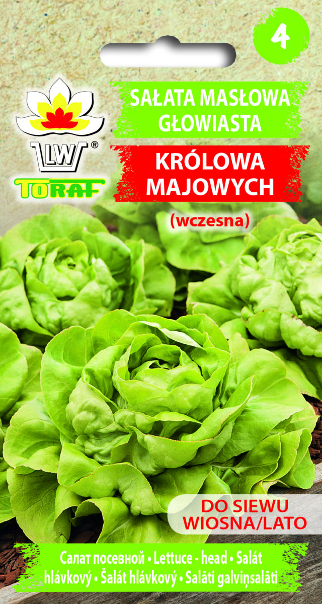Toraf Nasiona warzyw | Sałata Masłowa Królowa Majowych | Opakowanie 2g - imagine 2
