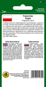 PNOS Nasiona warzyw | Poziomka Rugia | Opakowanie 0,5g - imagine 2