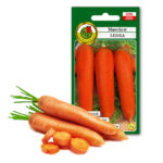 PNOS Nasiona warzyw | Marchew Jadalna Lenka | Opakowanie 5g