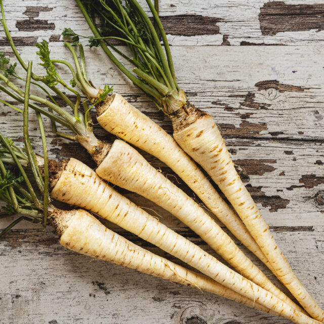 PNOS Nasiona warzyw | Pietruszka Korzeniowa Alba | Opakowanie 3g - imagine 6