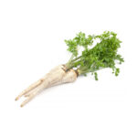 PNOS Nasiona na taśmie | Pietruszka Korzeniowa Halblange | Taśma 6m - imagine 4