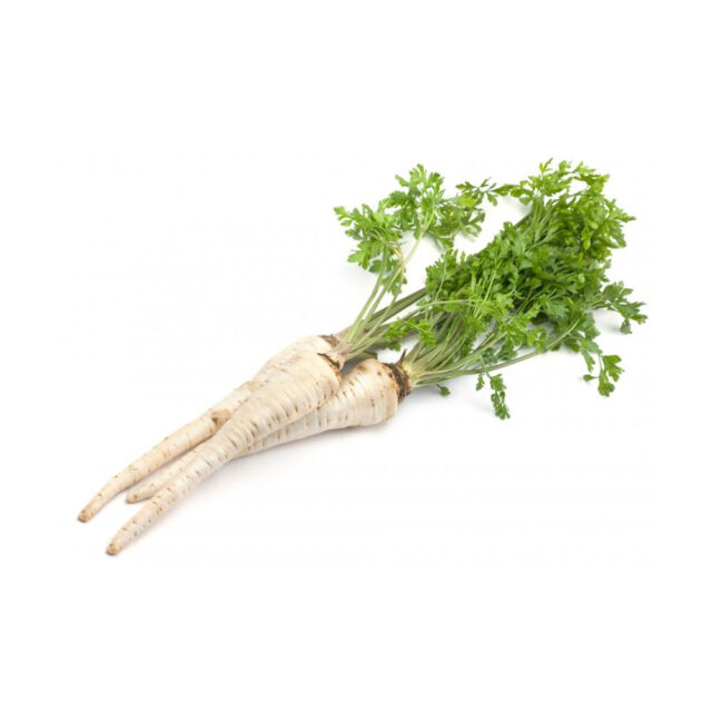 PNOS Nasiona na taśmie | Pietruszka Korzeniowa Halblange | Taśma 6m - imagine 4