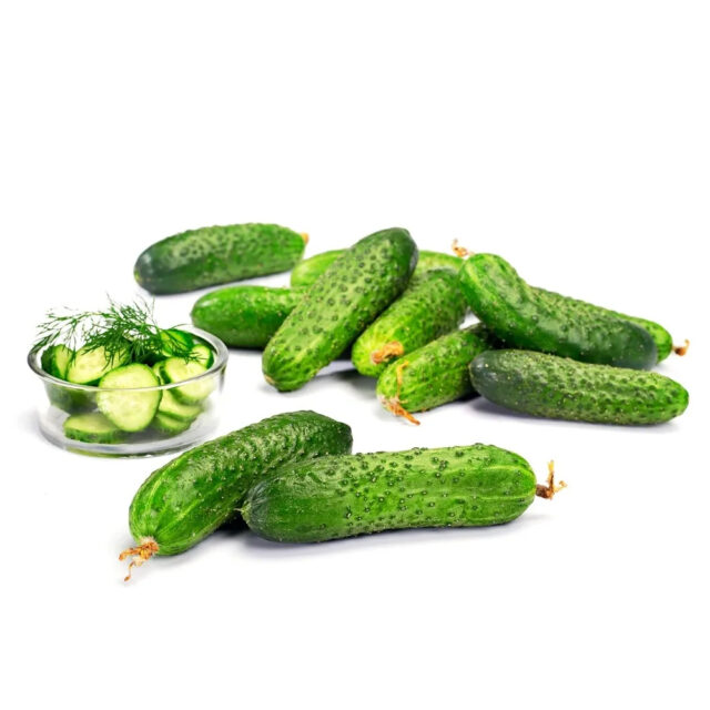 PNOS Nasiona otoczkowane | Ogórek Gruntowy Szeryf F1 | Opakowanie 50szt - imagine 4