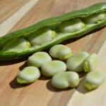 PNOS Nasiona warzyw | Bób Jankiel Biały | Opakowanie 50g - imagine 6