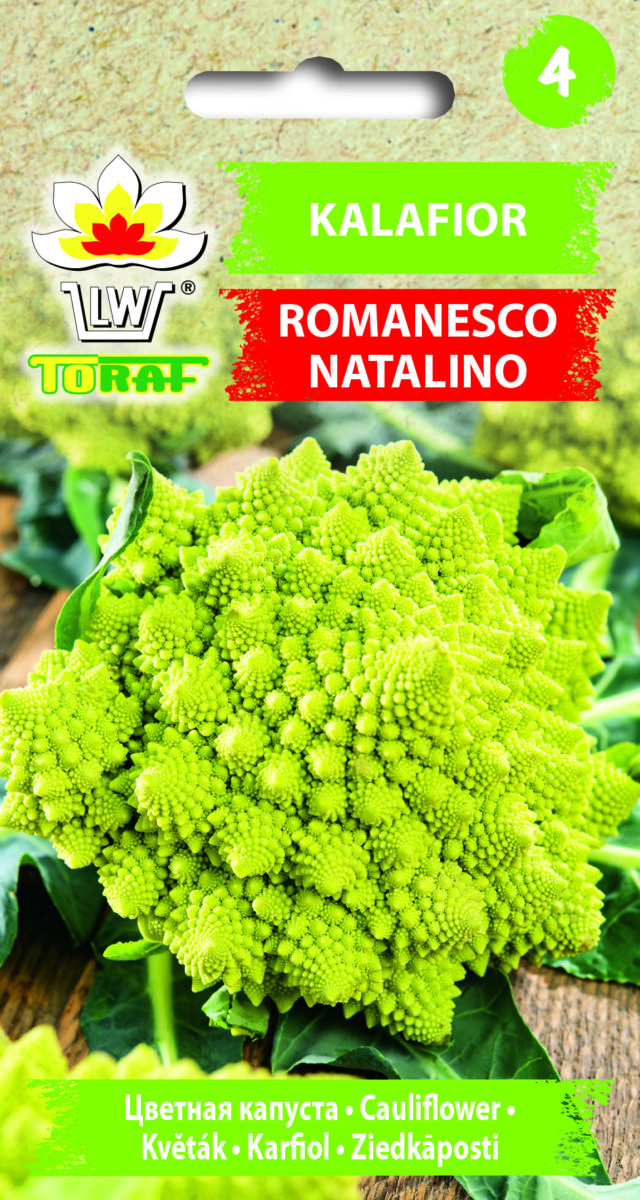 Toraf Nasiona warzyw | Kalafior Romanesco Natalino | Opakowanie 1g - imagine 2