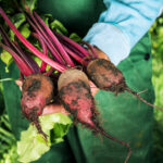 PNOS Nasiona na taśmie | Burak Ćwikłowy Opolski | Taśma 6m - imagine 5