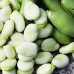 PNOS Nasiona warzyw | Bób Jankiel Biały | Opakowanie 50g - imagine 4