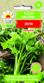 Toraf Nasiona warzyw | Seler Naciowy Zefir | Opakowanie 0,5g - imagine 2