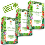 TORAF ZESTAW NASION - SET 1+2+3 2024 TORAF 32X1SZT