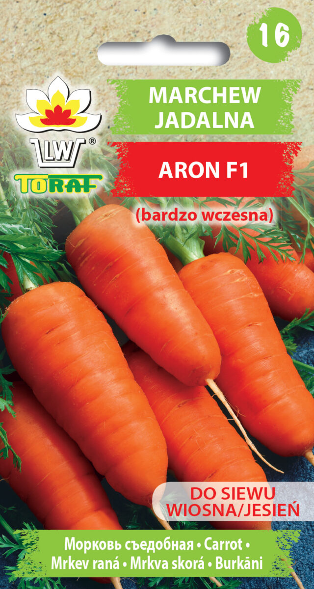 Toraf Nasiona warzyw | Marchew Aron F1 | Opakowanie 20g - imagine 2