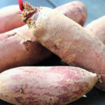 PNOS Nasiona na taśmie | Burak Ćwikłowy Opolski | Taśma 6m - imagine 8