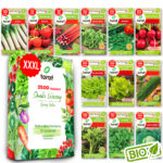 TORAF ZESTAW NASION SMAKI WIOSNY - 12 OPAKOWAŃ