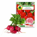 PNOS Nasiona otoczkowane | Rzodkiewka Karminowa | Opakowanie 200szt.
