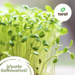 TORAF ZESTAW NASION SYMFONIA SMAKÓW - 12 OPAKOWAŃ - imagine 2