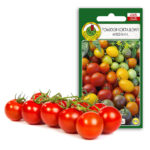 PNOS Mieszanka nasion | Dynia Olbrzynia | Opakowanie 0,9g