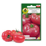 PNOS Nasiona warzyw | Pomidor Gruntowy Faworyt | Opakowanie 1g