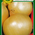 PNOS Nasiona warzyw | Cebula Sława Ożarowa | Opakowanie 5g