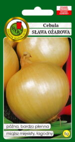 PNOS Nasiona warzyw | Cebula Sława Ożarowa | Opakowanie 5g