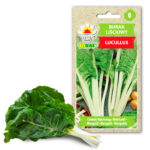Toraf Nasiona warzyw | Burak Liściowy Lucullus | Opakowanie 5g