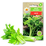 Toraf Nasiona warzyw | Seler Naciowy Zefir | Opakowanie 0,5g
