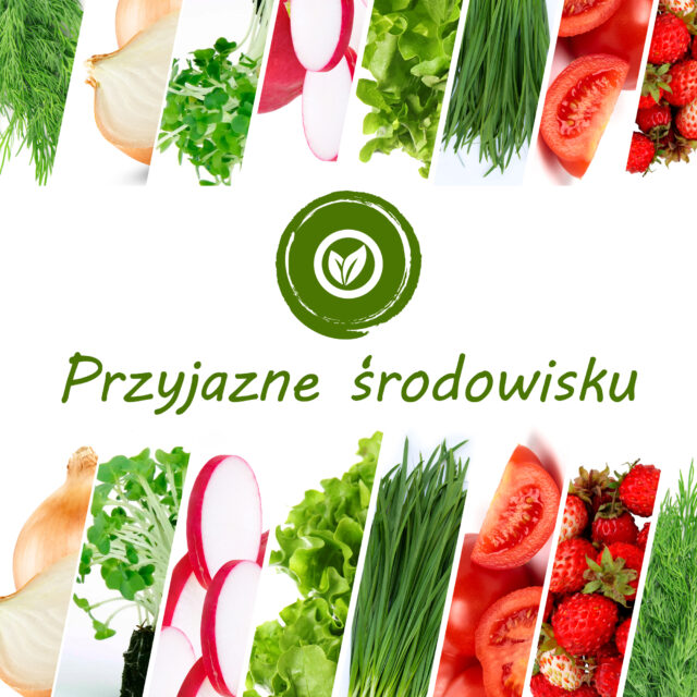 PNOS Zestaw | Nasiona Warzywa Domowe | 8 Opakowań - imagine 5