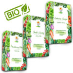 TORAF ZESTAW NASION - SET 3+4+5 2024 TORAF 32X1SZT