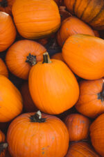 Toraf Nasiona warzyw | Dynia Olbrzymia Golias | Opakowanie 4g - imagine 6