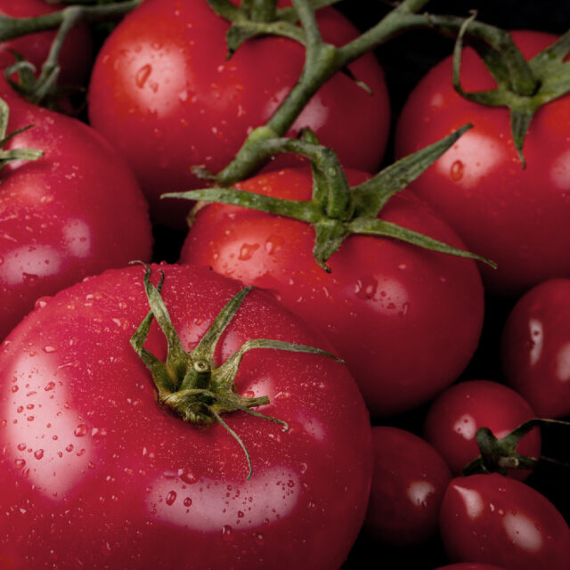 PNOS Nasiona warzyw | Pomidor Gruntowy Faworyt | Opakowanie 1g - imagine 6