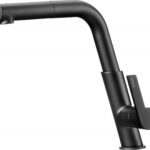 Kitchen faucet with pull-out spout