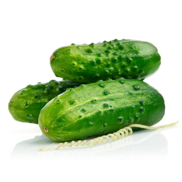 PNOS Nasiona na taśmie | Ogórek Gruntowy Portal | Taśma 6m - imagine 8