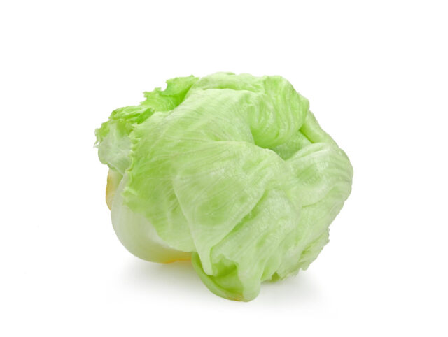 Toraf Nasiona warzyw | Sałata Krucha Lodowa Great Lakes 118 | Opakowanie 2g - imagine 3