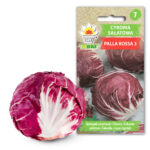 Toraf Nasiona warzyw | Cykoria Sałatowa Palla Rossa 3 | Opakowanie 5g