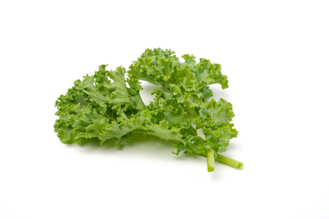 Toraf Nasiona warzyw | Jarmuż Dwarf Green Curled | Opakowanie 1g - imagine 2