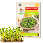 PNOS Nasiona na kiełki | Słonecznik Czarny Drobny | Opakowanie 20g