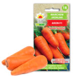 Toraf Nasiona warzyw | Marchew Aron F1 | Opakowanie 20g