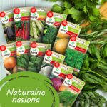 TORAF ZESTAW NASION HARMONIA WARZYW - 12 OPAKOWAŃ - imagine 3